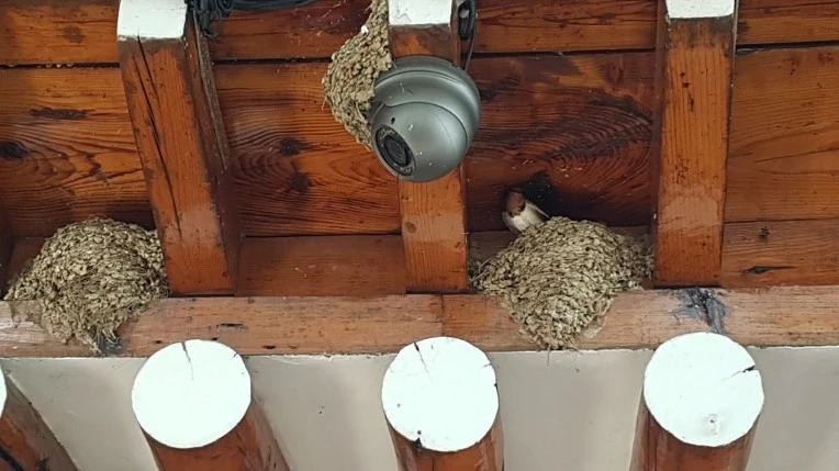 2623483759083E8B2B63C1