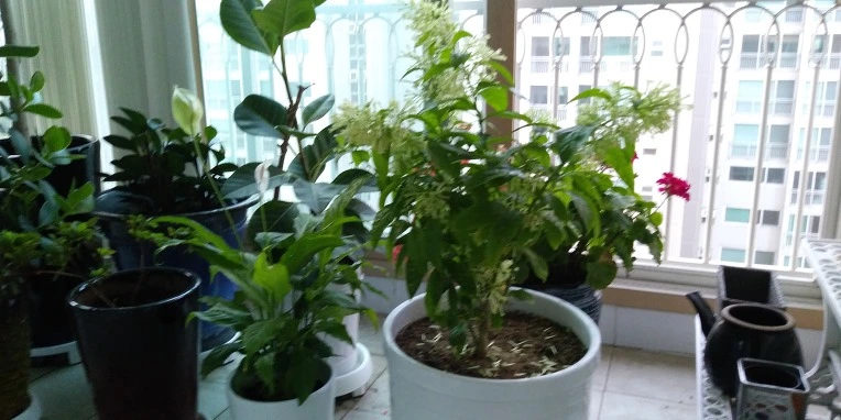 99CFCD3359CC468532E517