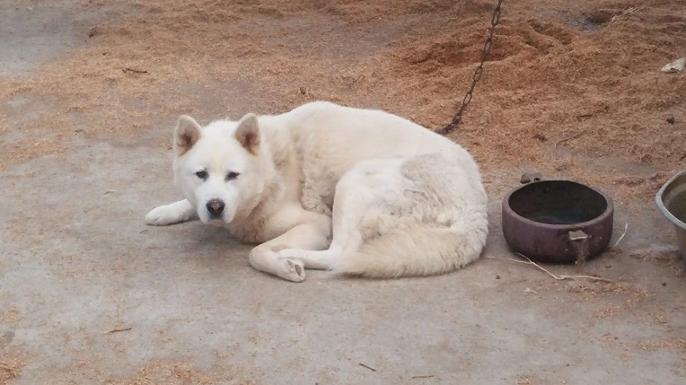 27766736579B25251ACE0A