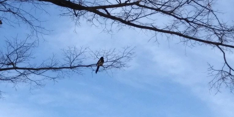 99BA634B5A8A1C8F1611AE