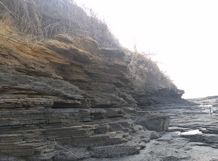 9989DE4F5AD5629833D6A2