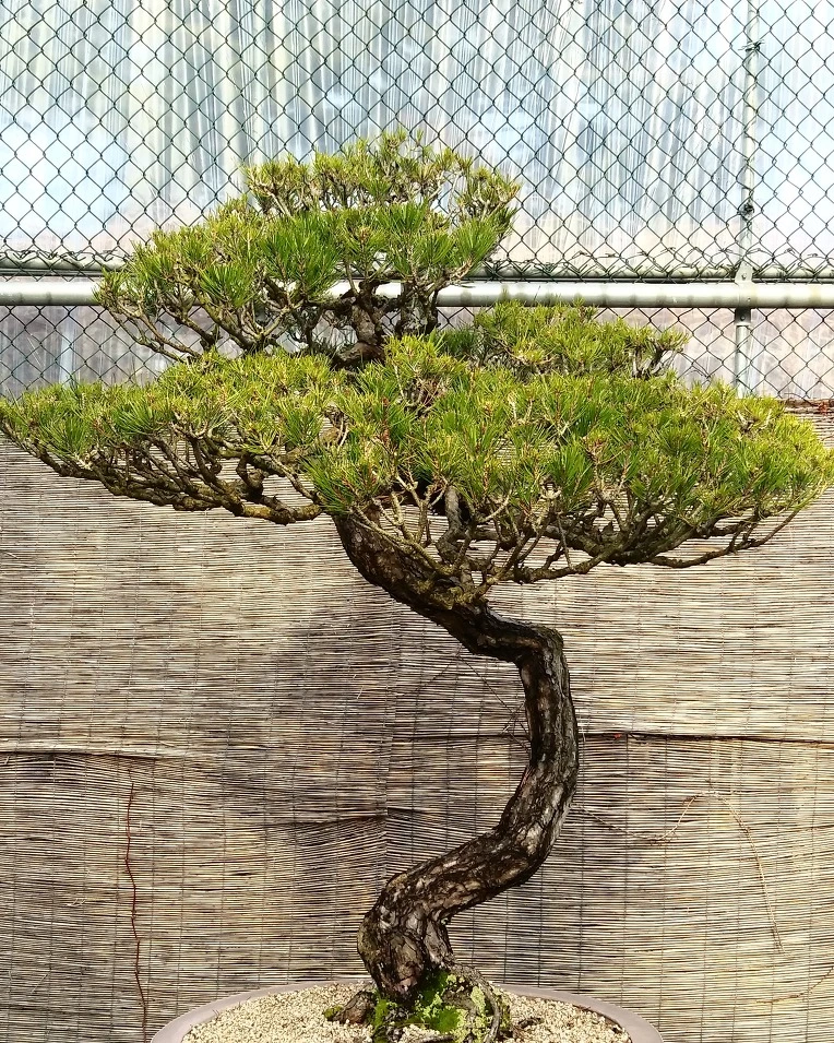 9948B93C5A9D2082091F87