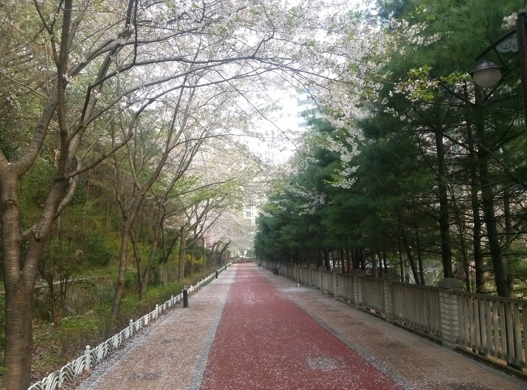 25679F4D534BA7240B227B