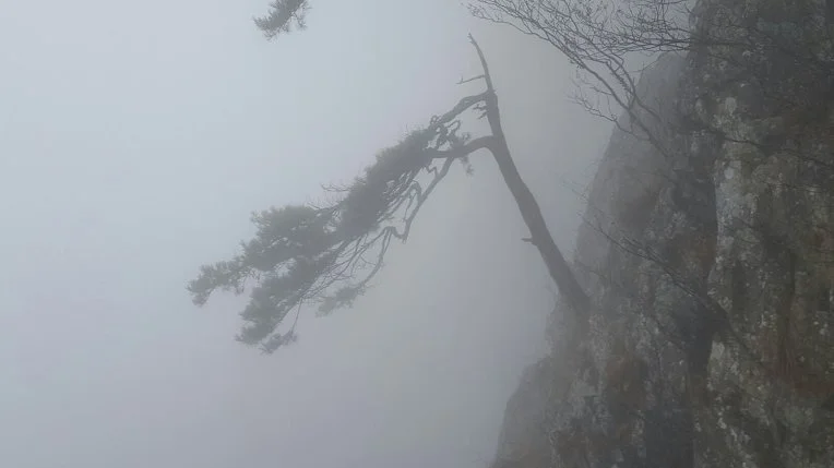 2526643E584123CF05BFC1