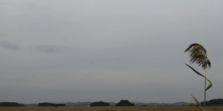 9997493359F3CD39184F12