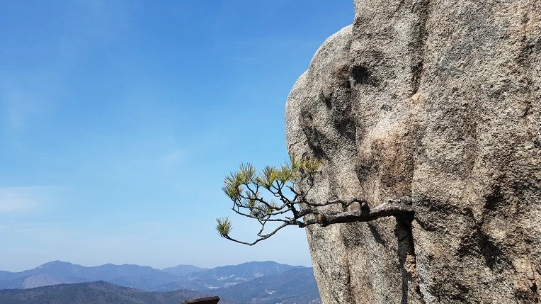 99ACB44C5ABEEC402E4299