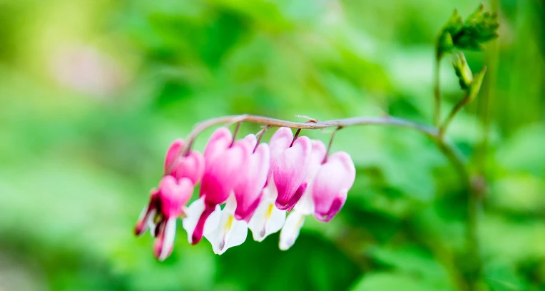 250B563B57C9301523F350