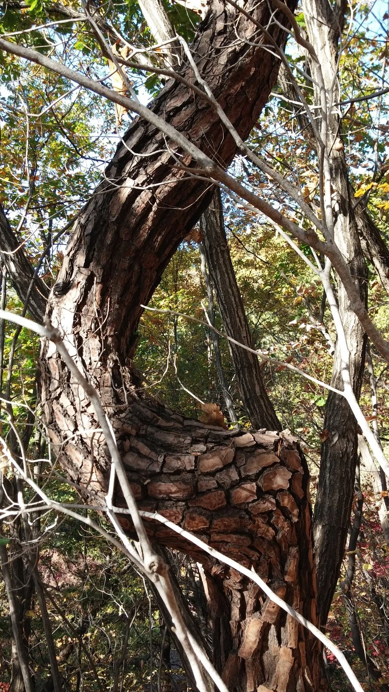 225A884B5630A77C0C67BD