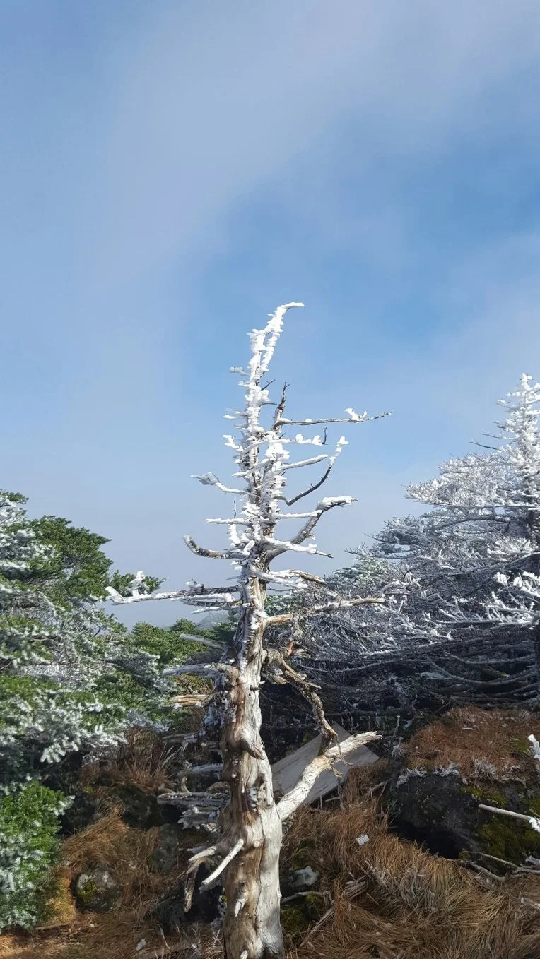 2713B44558870BF012AF62