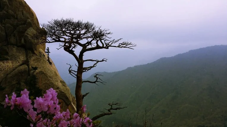 226E623A5361901430ED1F