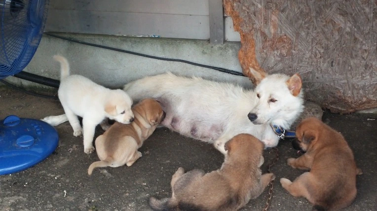 2618733957ECB4ED1ECACC