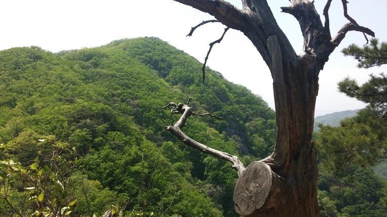 24585A4D578F36F81B6BDA