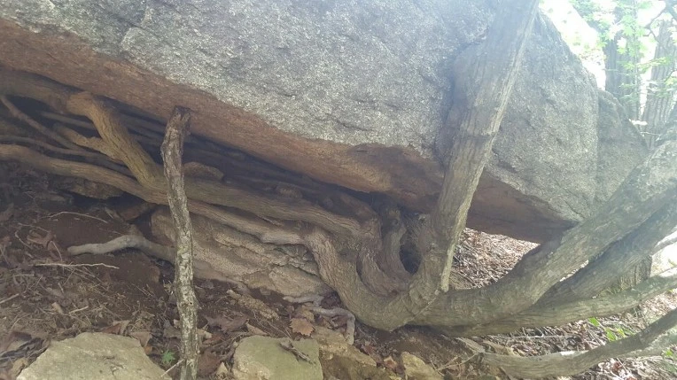 21646F4757E8E06F2164D4