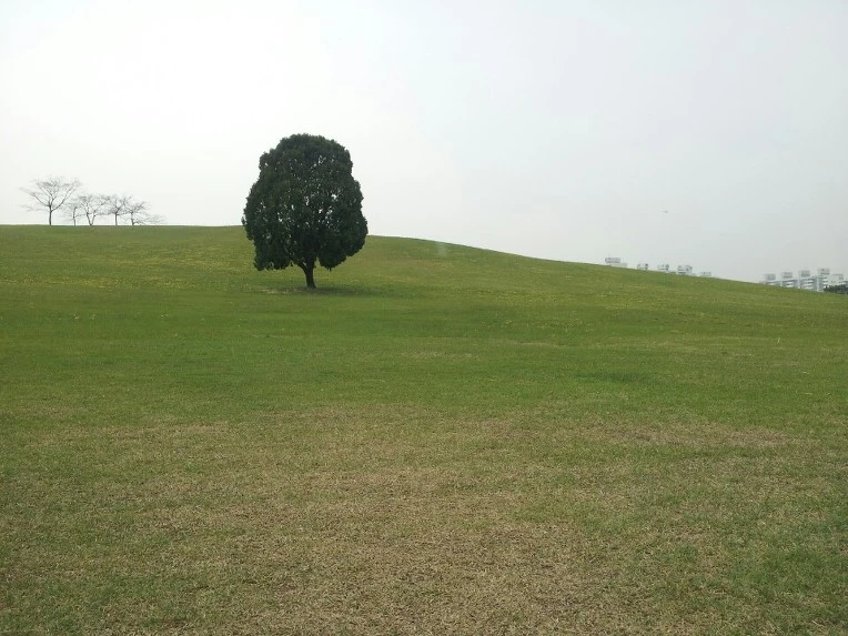 2364BC4C570F66BB061888