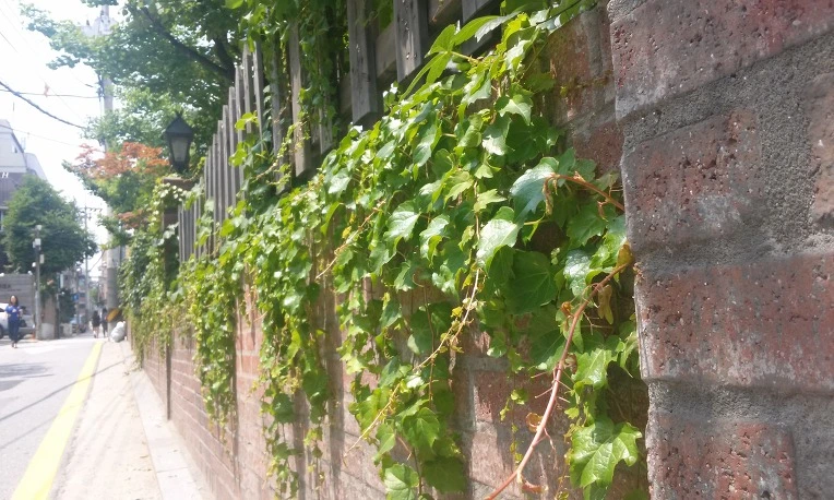 2125254B539FE21B0B86A6