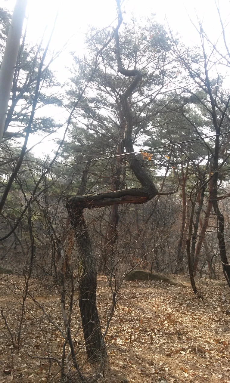 2203C44E550FEE551E4C8A