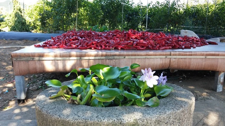 2505EE4C57F74D9A1C3C9B