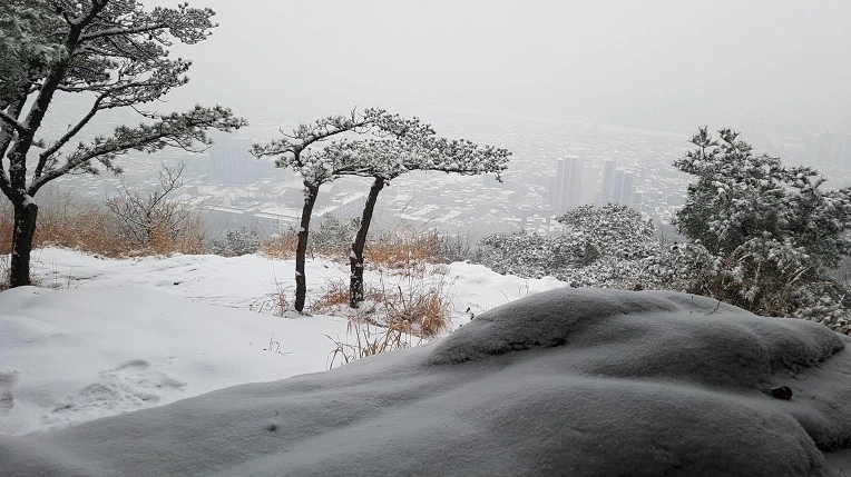 996852395A2E48C61EDB6B