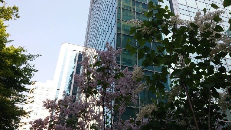 2465B5445715F9FB34CCE8