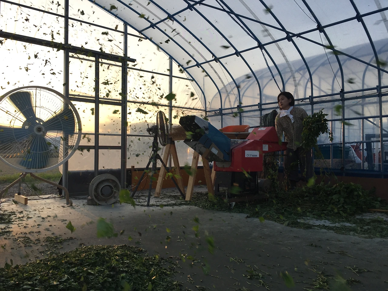 일본 도쿠시마(2).JPG