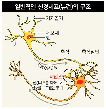 세포구조.JPG