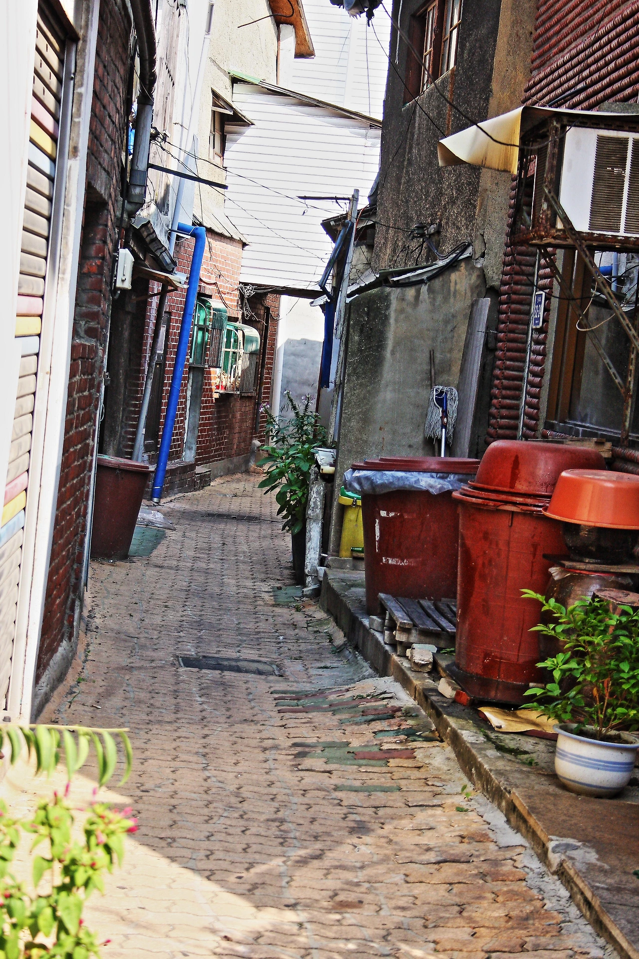 골목길은 덤.JPG