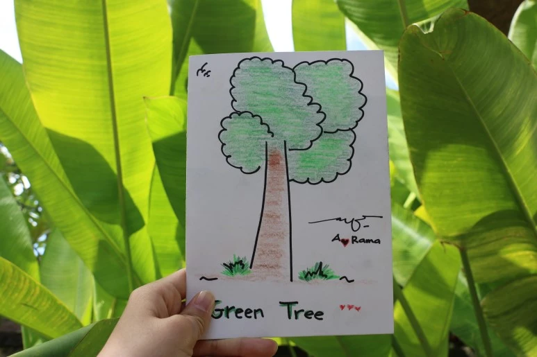 IMG_1993.JPG?type=w773