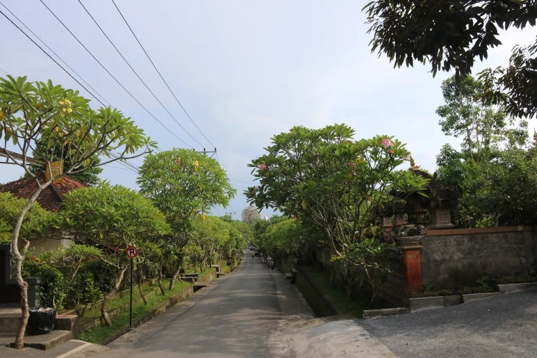 IMG_1466.JPG?type=w773