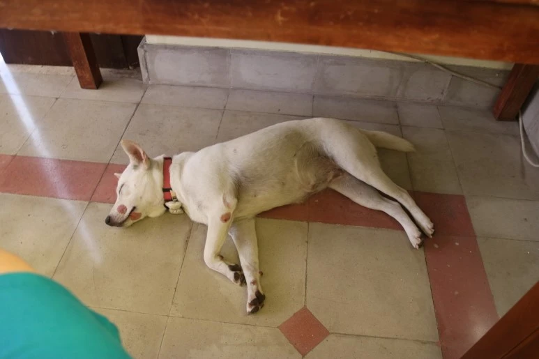 IMG_1480.JPG?type=w773