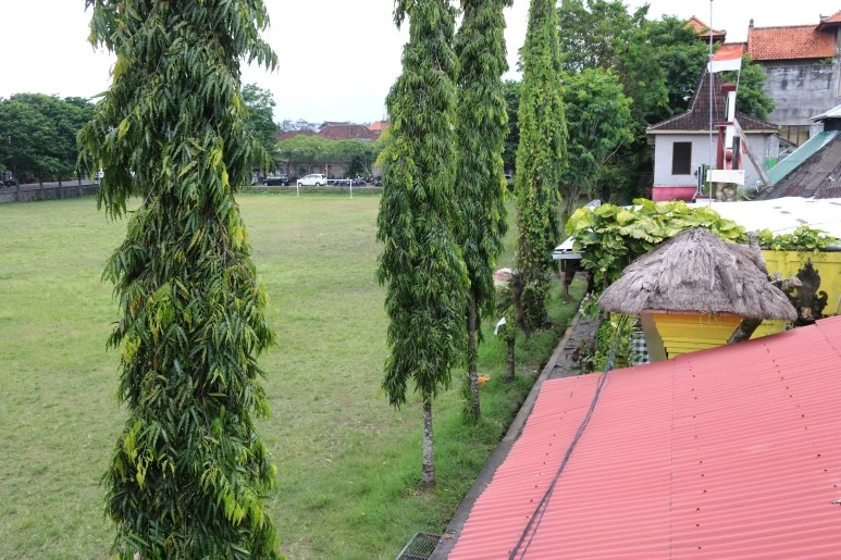 IMG_1445.JPG?type=w773