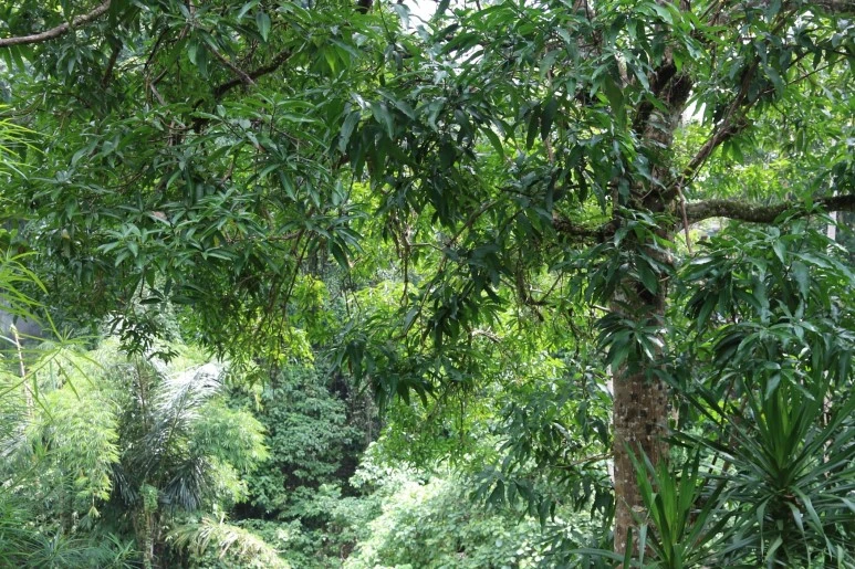 image_1191423331484630677424.jpg?type=w773