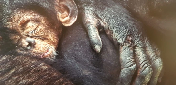 ?src=%22https%3A%2F%2Flh7-rt.googleusercontent.com%2Fdocsz%2FAD_4nXcLH-oSgM0kTsnKcNHF9LchA7jFAfbLoNUh_NzadM-E5k6QOy2f2GkR-7HziAfmoHxoq18G5vfMBz38yDfw72L9bK478tjQKLrWAPRA_kZXNZuvJx_ozLK95cIiMd5TxDasuyF0JS3Yy1nXjE8-jyNJuUs%3Fkey%3DhWcLK3Y5rtbJDlFBz9sjUQ%22&type=cafe_wa740