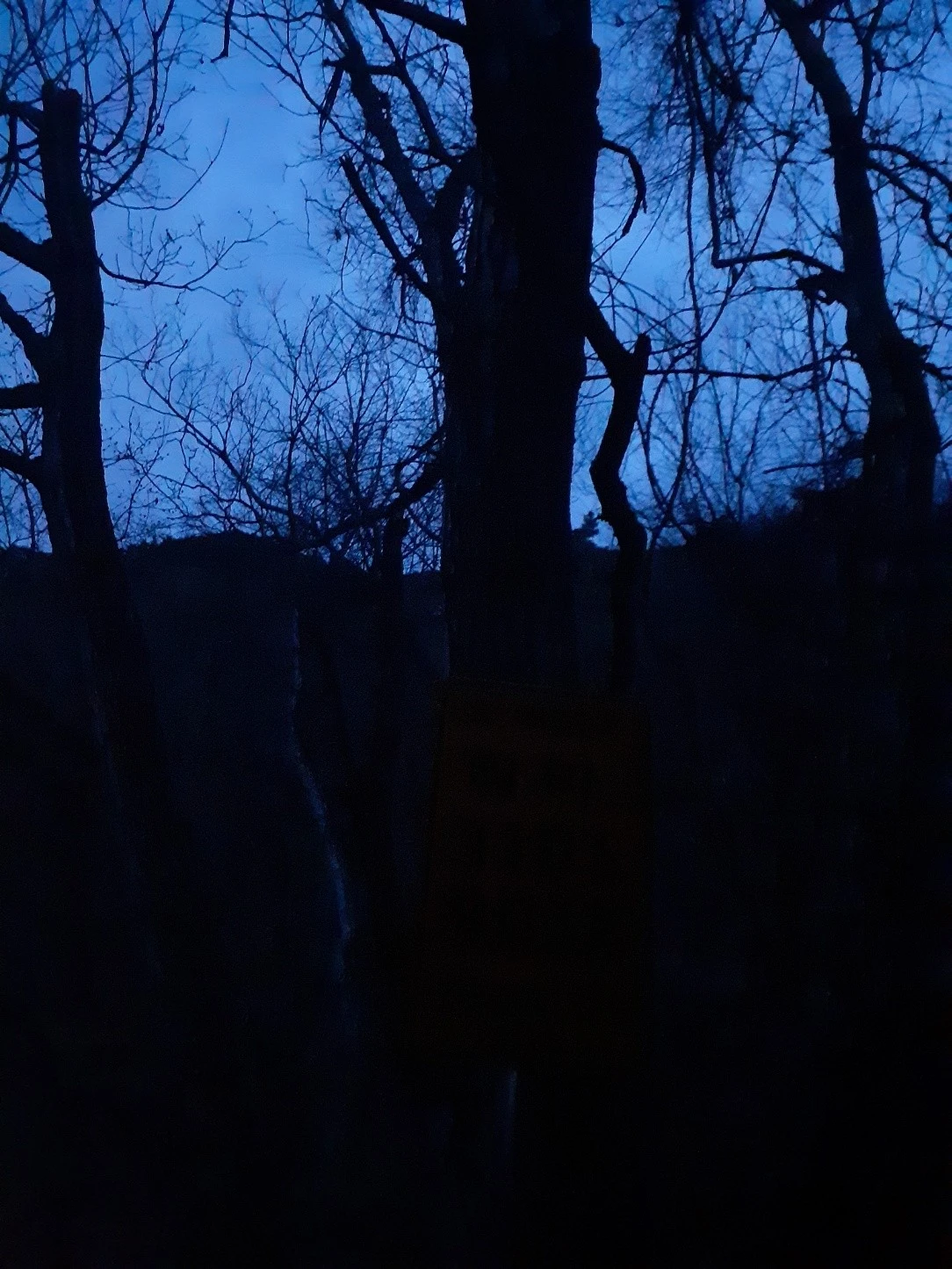 1711353042061.jpg?type=w1600