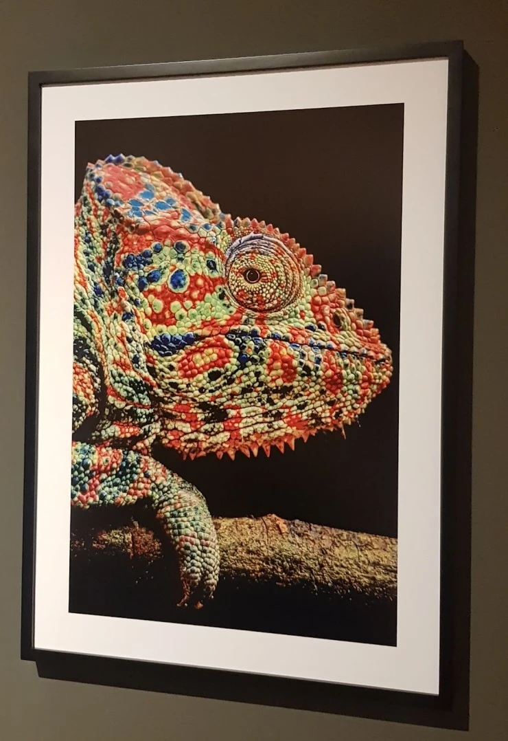 ?src=%22https%3A%2F%2Flh7-rt.googleusercontent.com%2Fdocsz%2FAD_4nXfAh1-Lbynjhr8WcCwqXTzrpe0AMmxZZ50oCFlf3Kq0JOmRefKXMzTX1IxQNh6YTlcwerG200_3Hhk2e5eHs7GmDHmioqLz3GvpxxncJoLHROtAZIEstvqf10fVZI7lsOIG47tiDwibjjKBGdRNx2D2_q0%3Fkey%3DhWcLK3Y5rtbJDlFBz9sjUQ%22&type=cafe_wa740