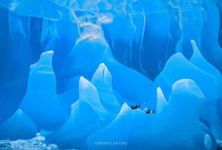 ?src=%22https%3A%2F%2Flh7-rt.googleusercontent.com%2Fdocsz%2FAD_4nXfS3_8EMEdF44sRdYsbbgDVCukL-qdheULBa1z1PUdpiG2oYR-1FJqGRLO0b8uTyeSitieJCmgKHcQhdiO7japKeDa7SmZxKAzGtL4cD8BoBN2XpdR37Y-xLoQGHwTO3hiRHcColZkpYAYT8VO2DD4kesVC%3Fkey%3DhWcLK3Y5rtbJDlFBz9sjUQ%22&type=cafe_wa740