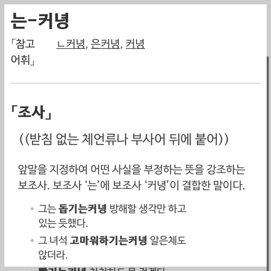 335613950_1397959724363788_4732557621354825362_n.jpg?type=w1