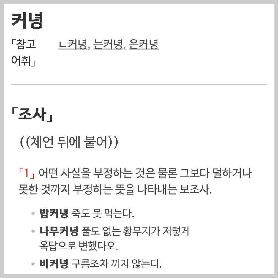 335708857_928644108263111_7621648262056785374_n.jpg?type=w1