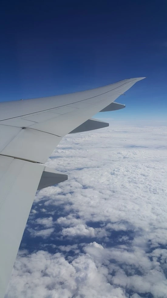 20160905_145119.jpg?type=w3