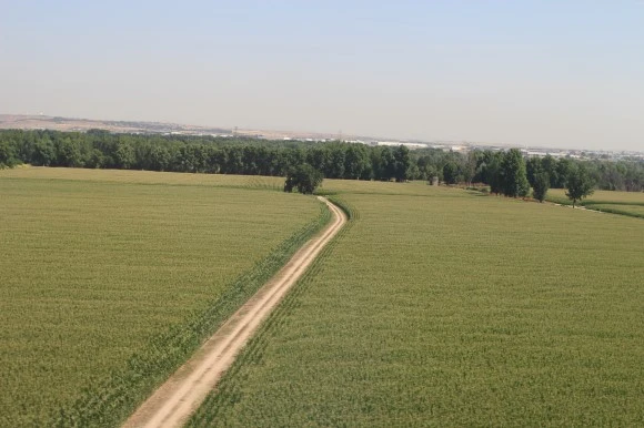 IMG_58021.JPG?type=w580