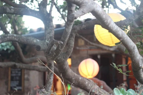 IMG_5748.JPG?type=w580