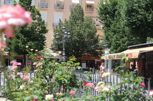 IMG_61281.JPG?type=w580