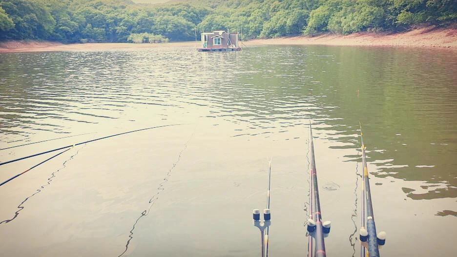 SE-d2d1d402-1a4a-4b11-a9cc-b5ac82cd97b9.jpg?type=w1