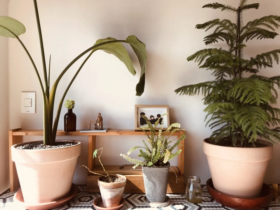 IMG_5740.jpg?type=w1