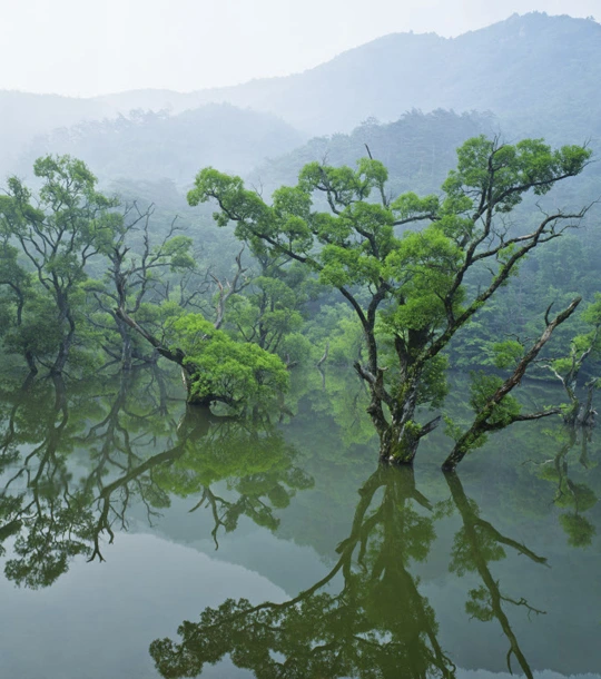 2012092501593_1.jpg?type=w3