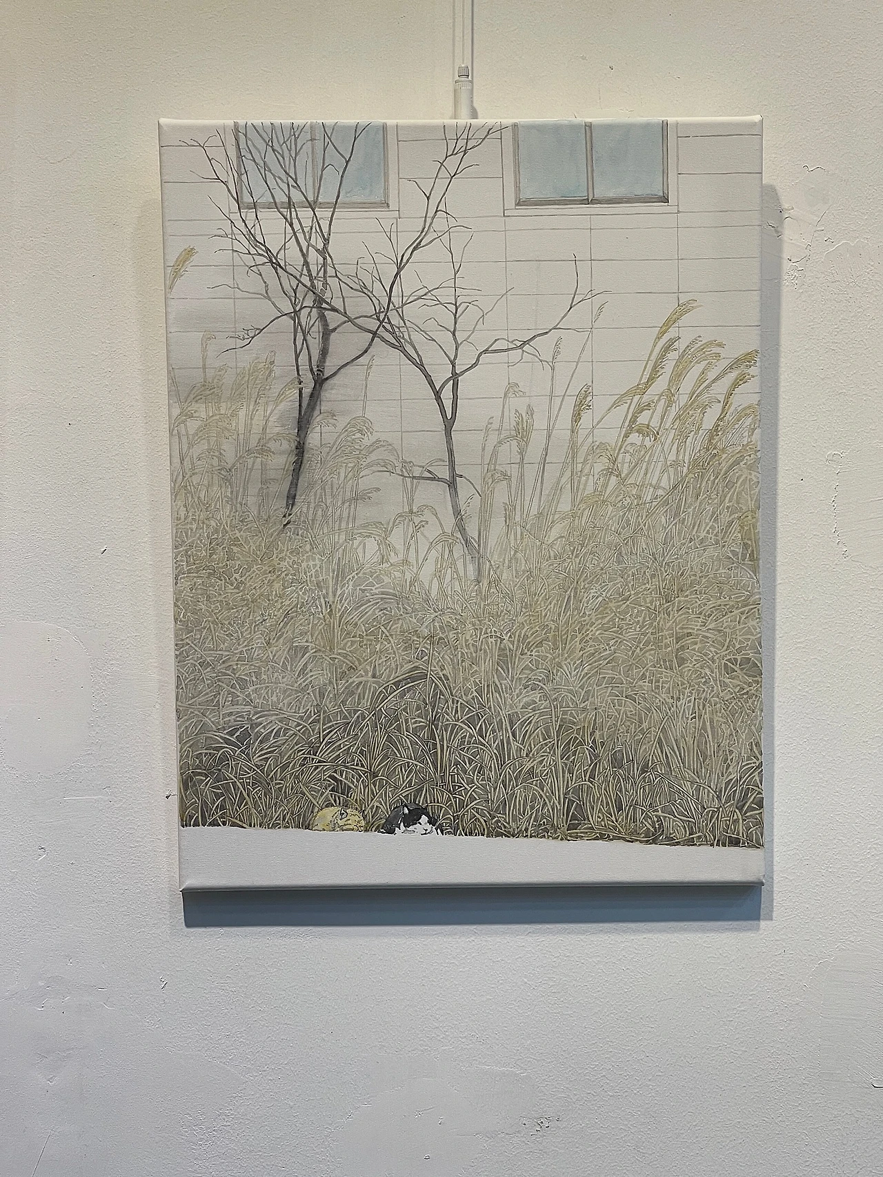 B0327F3C-8A3D-405E-949C-1CCB630A64B2_1_100_o.jpeg?type=w1600