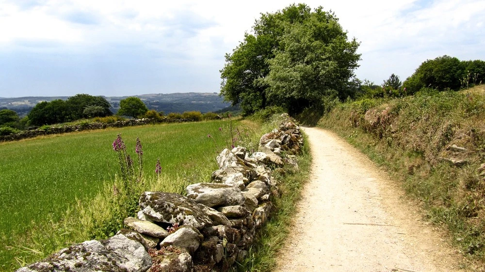 image_1503645587000.jpg?width=1000