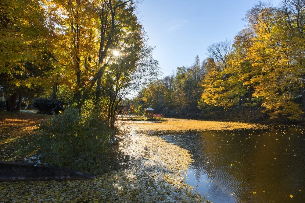 image_1503646370385.jpg?width=1000