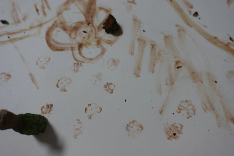 DSC02724.JPG?type=w1