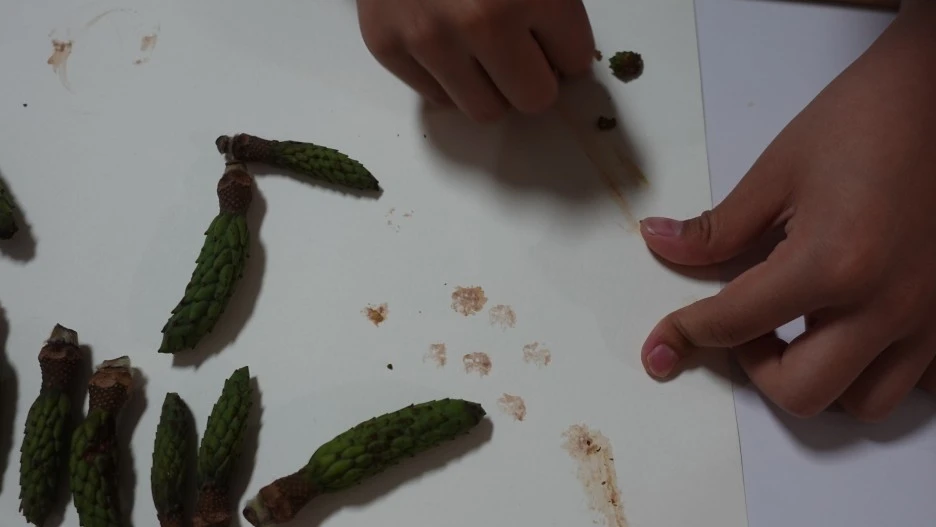 DSC02698.JPG?type=w1