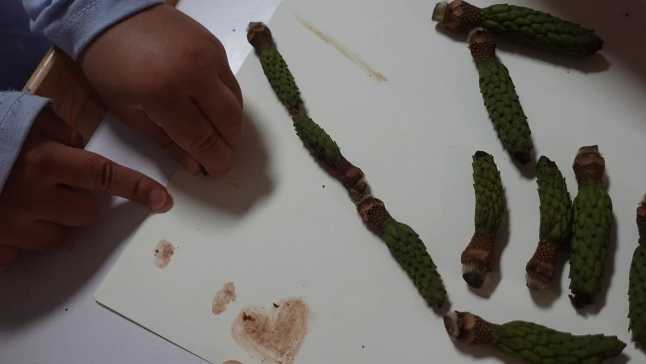 DSC02704.JPG?type=w1